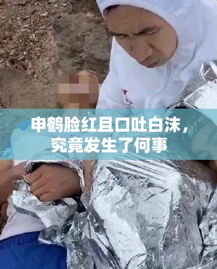 申鹤脸红且口吐白沫，究竟发生了何事