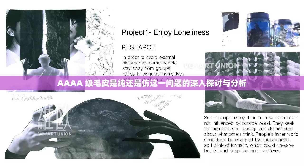 AAAA 级毛皮是纯还是仿这一问题的深入探讨与分析