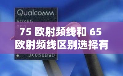 75 欧射频线和 65 欧射频线区别选择有讲究-技术专家深度解析