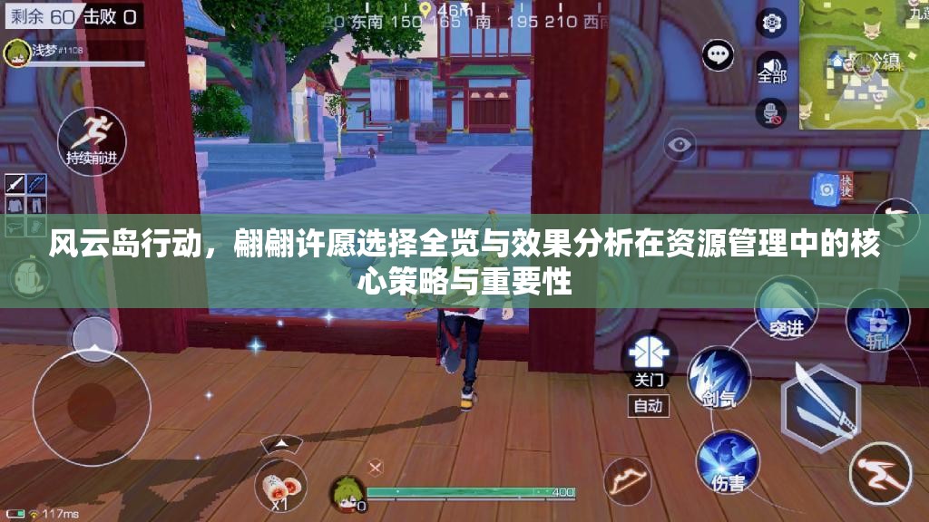 风云岛行动，翩翩许愿选择全览与效果分析在资源管理中的核心策略与重要性