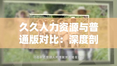 久久人力资源与普通版对比：深度剖析两者的差异与优劣