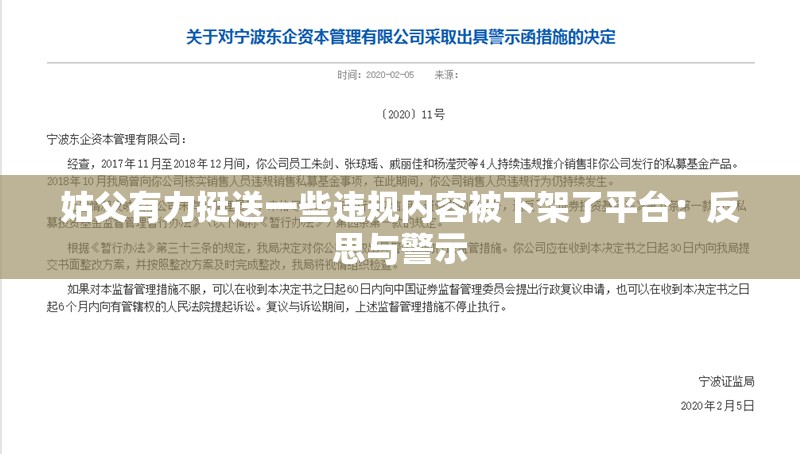 姑父有力挺送一些违规内容被下架了平台：反思与警示