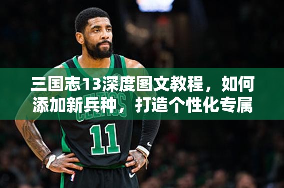 三国志13深度图文教程，如何添加新兵种，打造个性化专属铁血军团