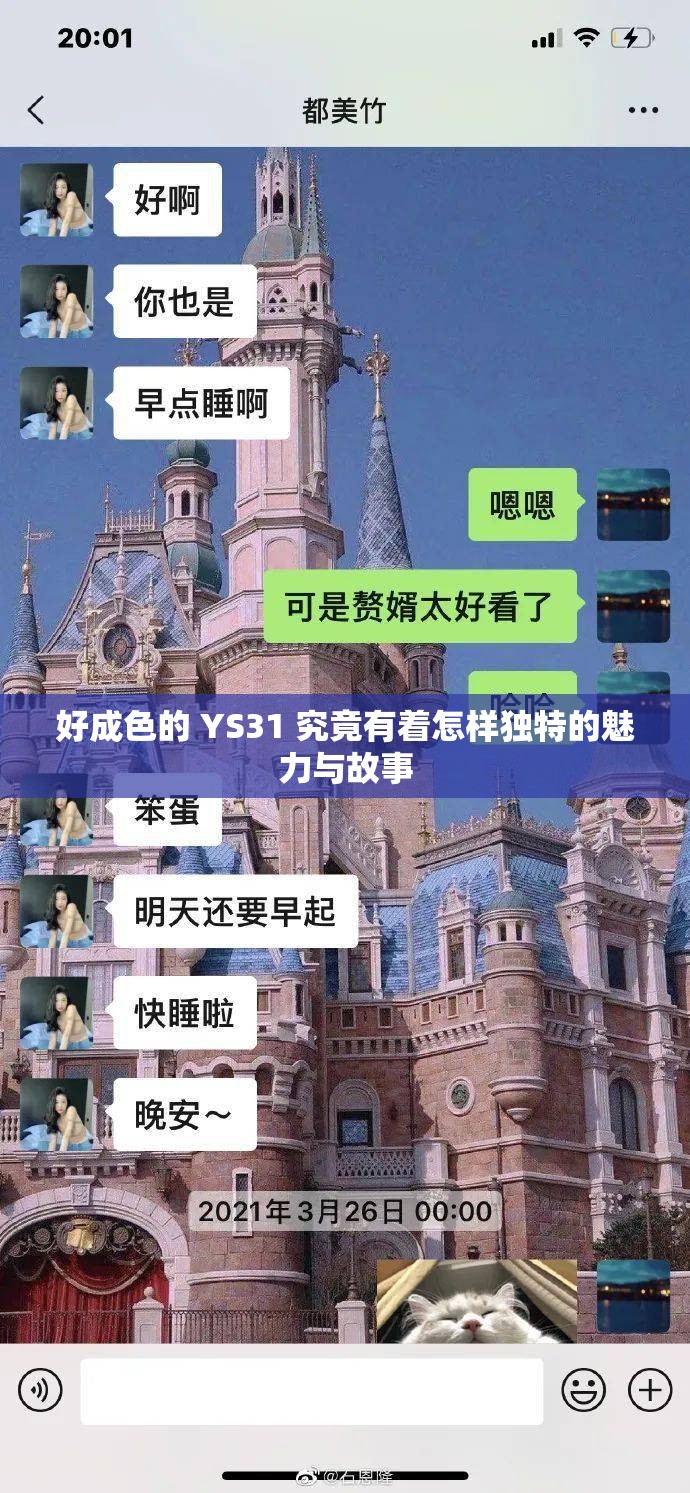 好成色的 YS31 究竟有着怎样独特的魅力与故事