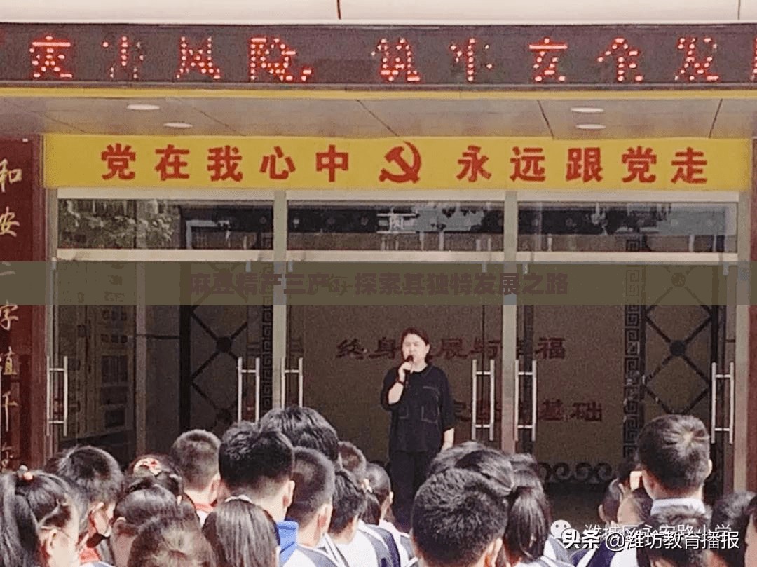 麻豆精产三产：探索其独特发展之路