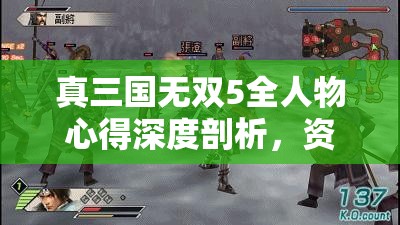 真三国无双5全人物心得深度剖析，资源管理的重要性及高效实战利用策略
