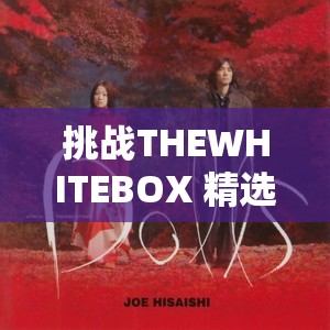 挑战THEWHITEBOX 精选黑与白：探索纯粹之美