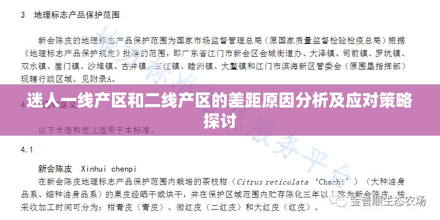 迷人一线产区和二线产区的差距原因分析及应对策略探讨