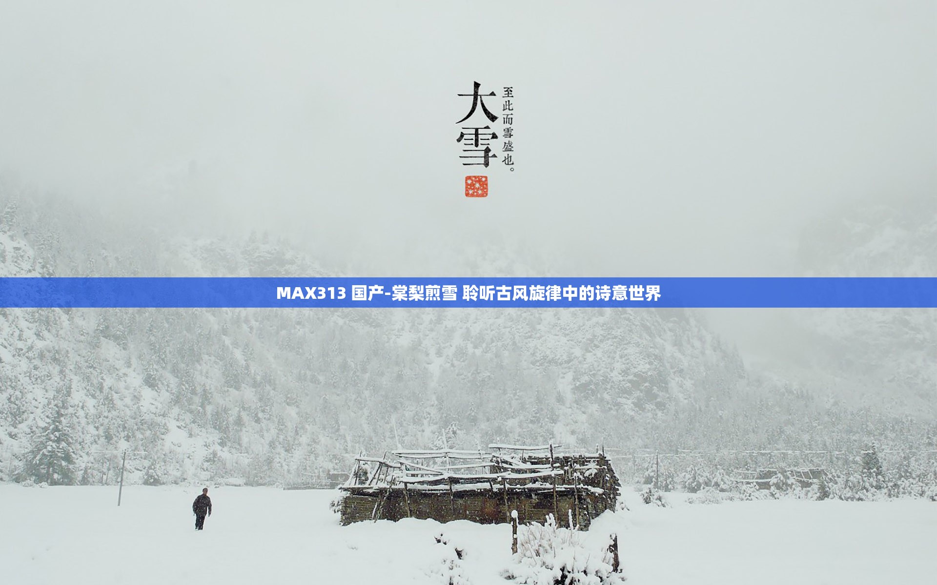 MAX313 国产-棠梨煎雪 聆听古风旋律中的诗意世界