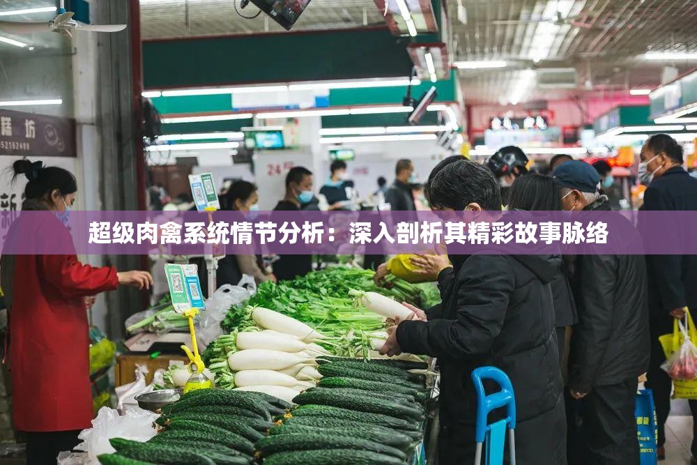 超级肉禽系统情节分析：深入剖析其精彩故事脉络