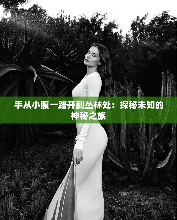 手从小腹一路开到丛林处：探秘未知的神秘之旅