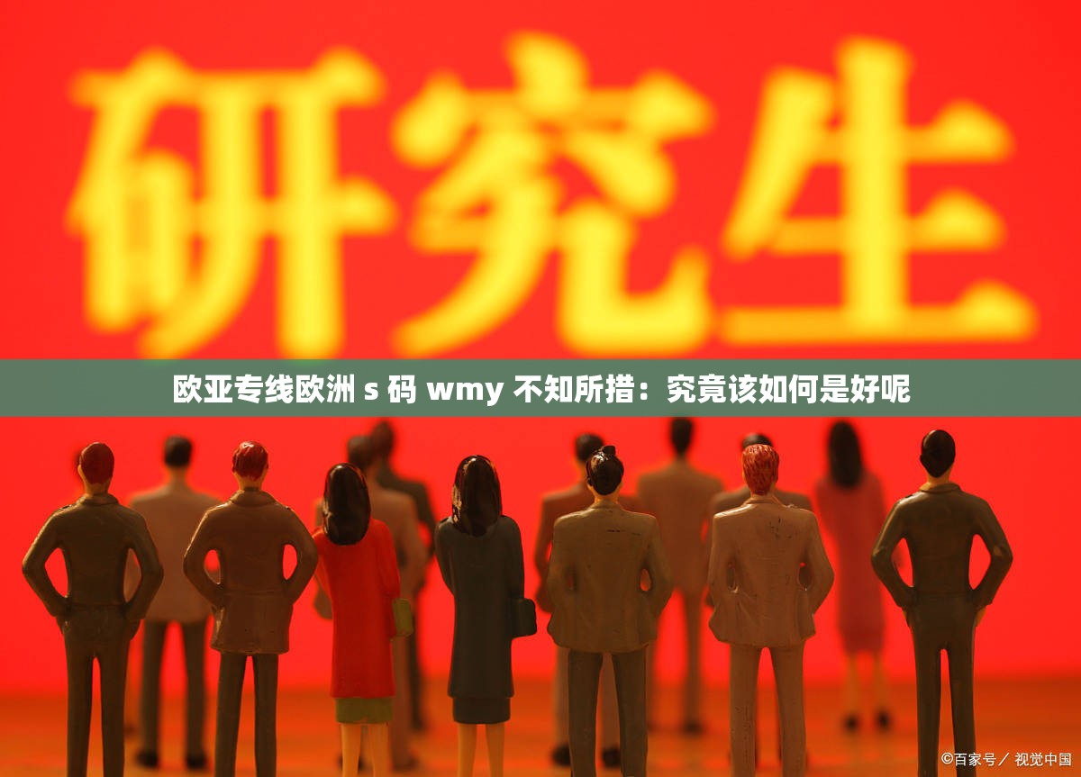 欧亚专线欧洲 s 码 wmy 不知所措：究竟该如何是好呢