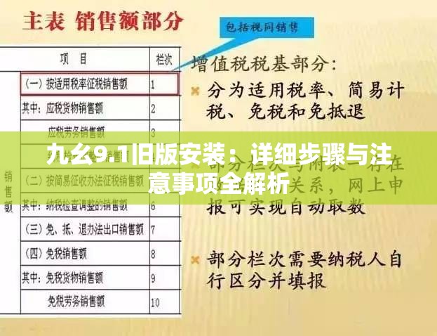 九幺9.1旧版安装：详细步骤与注意事项全解析