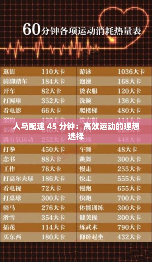 人马配速 45 分钟：高效运动的理想选择