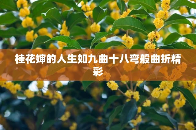 桂花婶的人生如九曲十八弯般曲折精彩