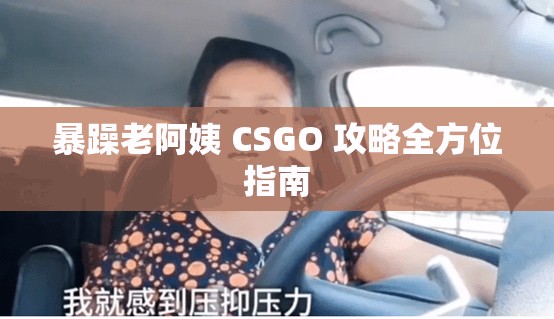 暴躁老阿姨 CSGO 攻略全方位指南