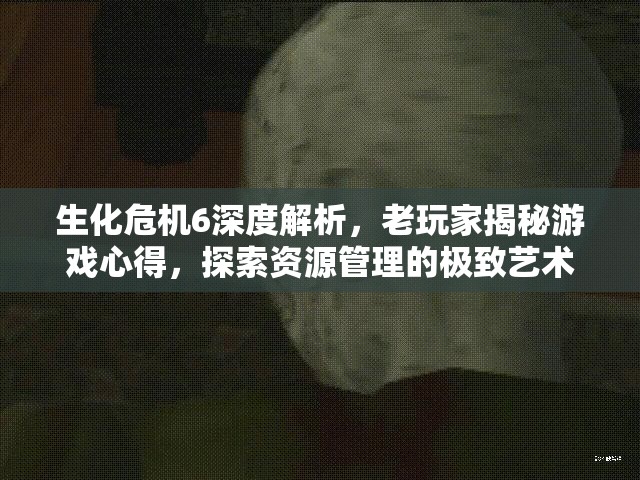 生化危机6深度解析，老玩家揭秘游戏心得，探索资源管理的极致艺术