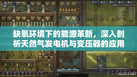 缺氧环境下的能源革新，深入剖析天然气发电机与变压器的应用与挑战