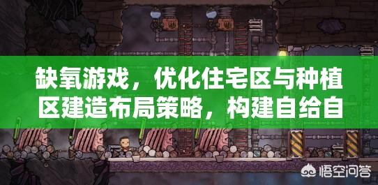缺氧游戏，优化住宅区与种植区建造布局策略，构建自给自足高效生存乐园指南