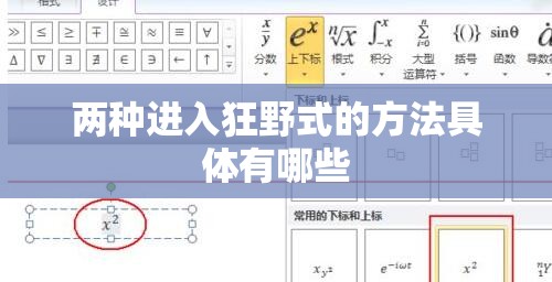两种进入狂野式的方法具体有哪些