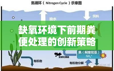 缺氧环境下前期粪便处理的创新策略，展现生存智慧与实用性的完美结合