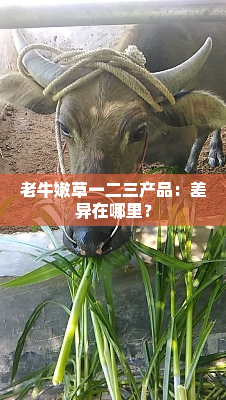 老牛嫩草一二三产品：差异在哪里？