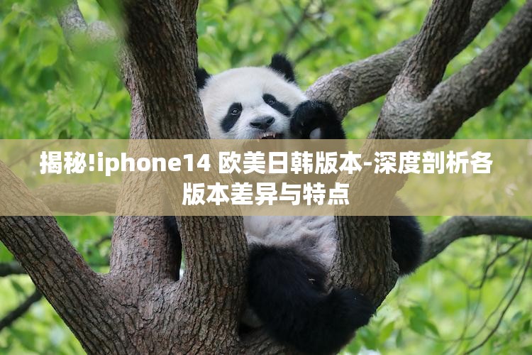 揭秘!iphone14 欧美日韩版本-深度剖析各版本差异与特点