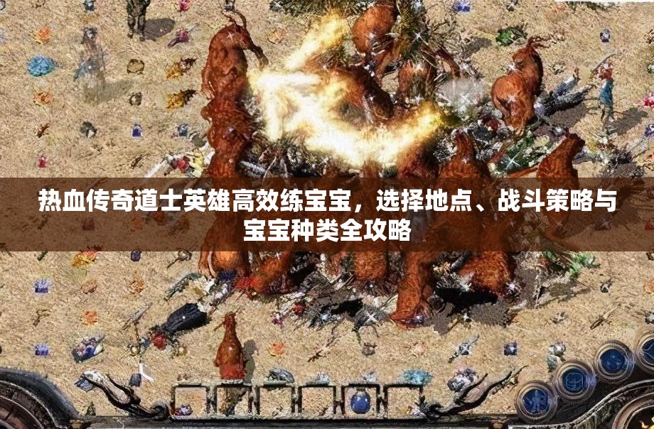 热血传奇道士英雄高效练宝宝，选择地点、战斗策略与宝宝种类全攻略