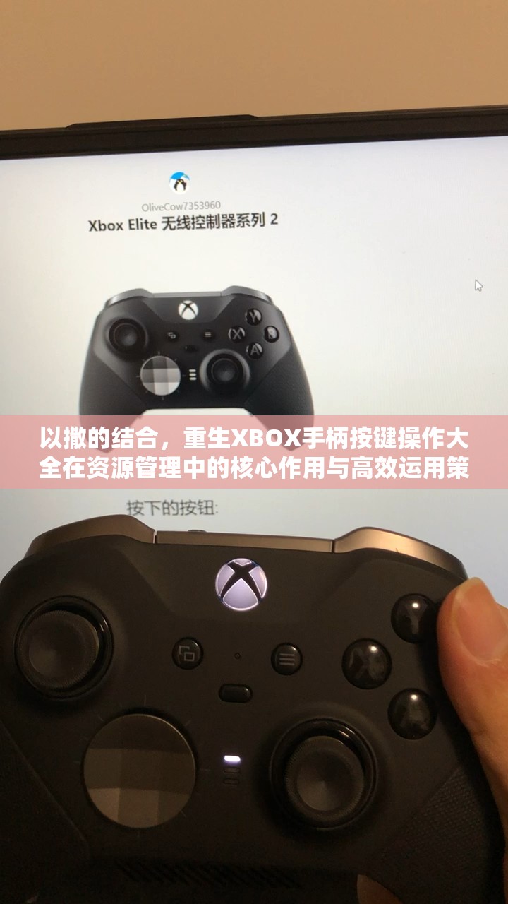 以撒的结合，重生XBOX手柄按键操作大全在资源管理中的核心作用与高效运用策略