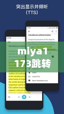 miya1173跳转接口：提供便捷高效的访问服务