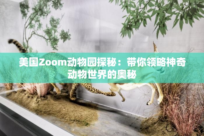 美国Zoom动物园探秘：带你领略神奇动物世界的奥秘