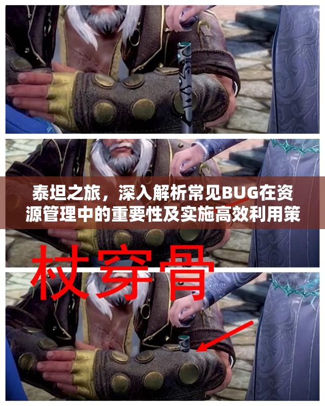 泰坦之旅，深入解析常见BUG在资源管理中的重要性及实施高效利用策略