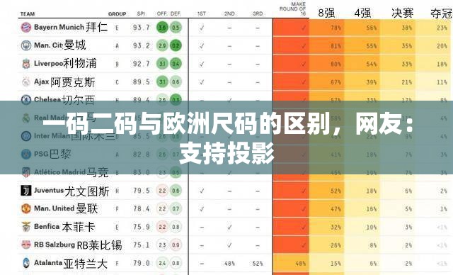 一码二码与欧洲尺码的区别，网友：支持投影