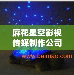 麻花星空影视传媒制作公司：以独特创意让观众眼前一亮