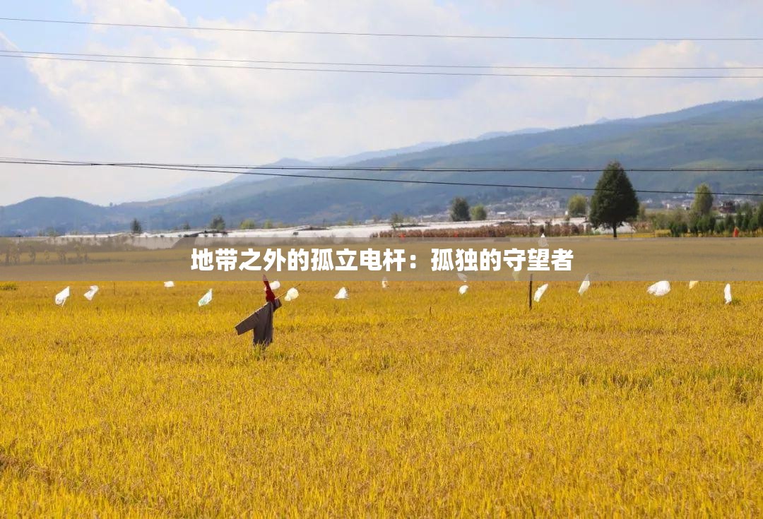 地带之外的孤立电杆：孤独的守望者