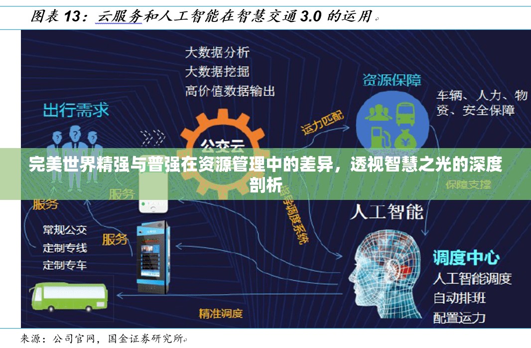 完美世界精强与普强在资源管理中的差异，透视智慧之光的深度剖析