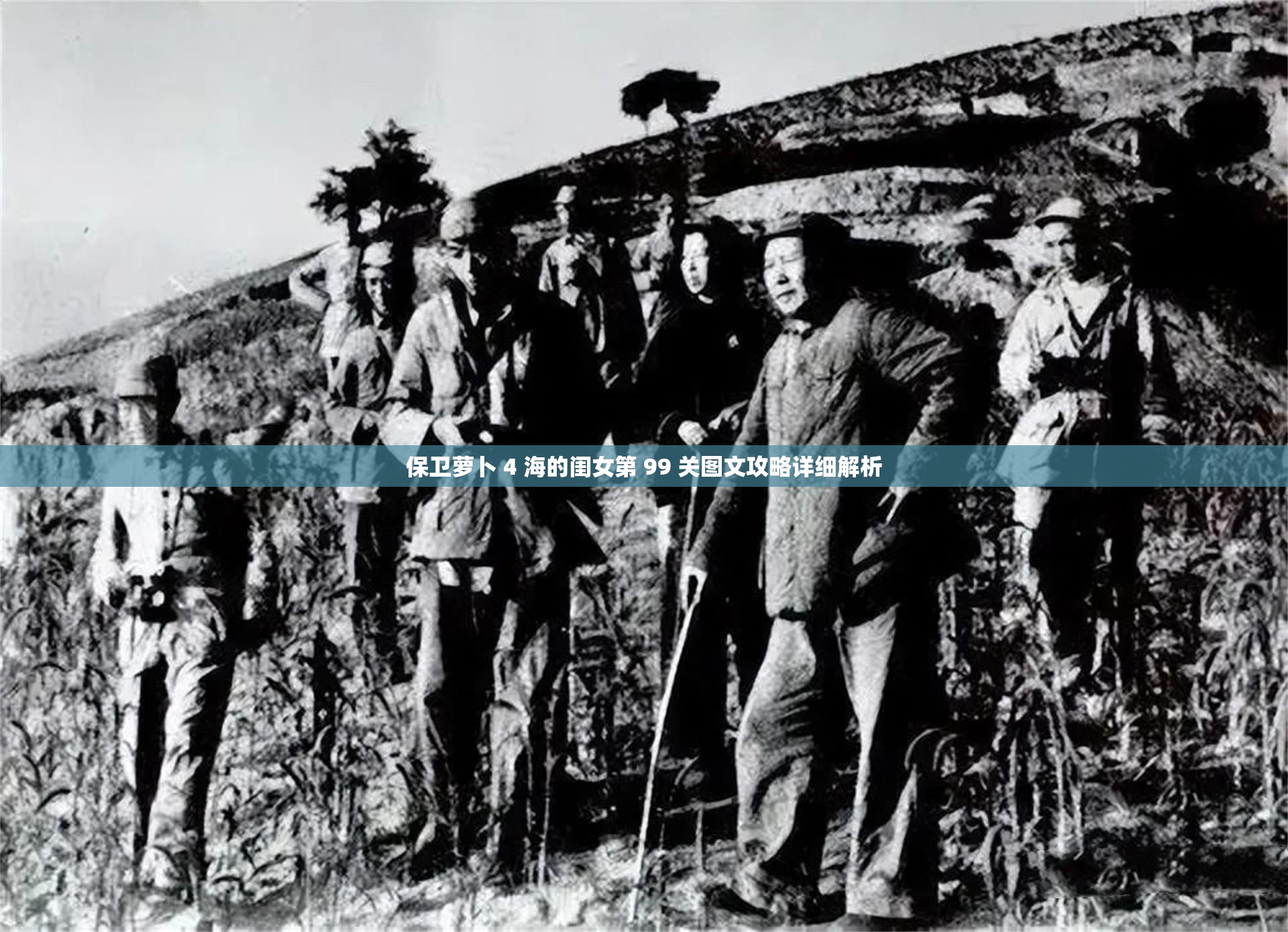 保卫萝卜 4 海的闺女第 99 关图文攻略详细解析