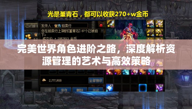 完美世界角色进阶之路，深度解析资源管理的艺术与高效策略