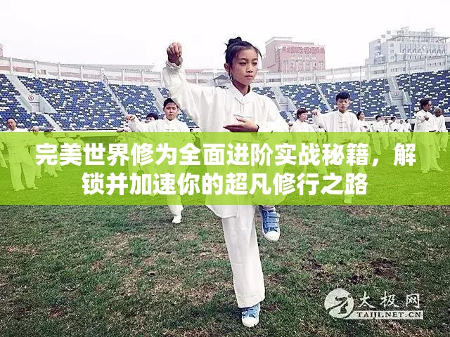 完美世界修为全面进阶实战秘籍，解锁并加速你的超凡修行之路