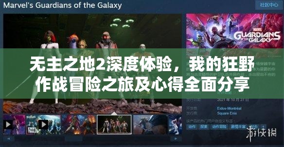 无主之地2深度体验，我的狂野作战冒险之旅及心得全面分享