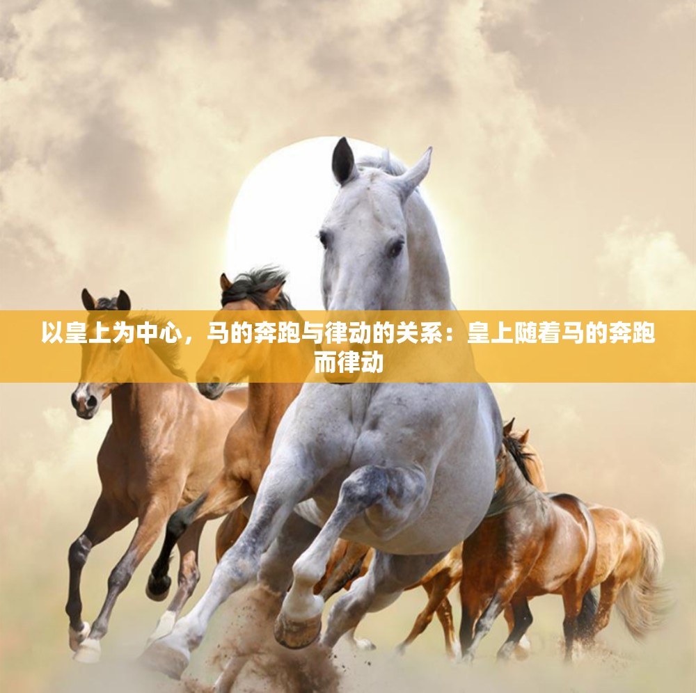 以皇上为中心，马的奔跑与律动的关系：皇上随着马的奔跑而律动
