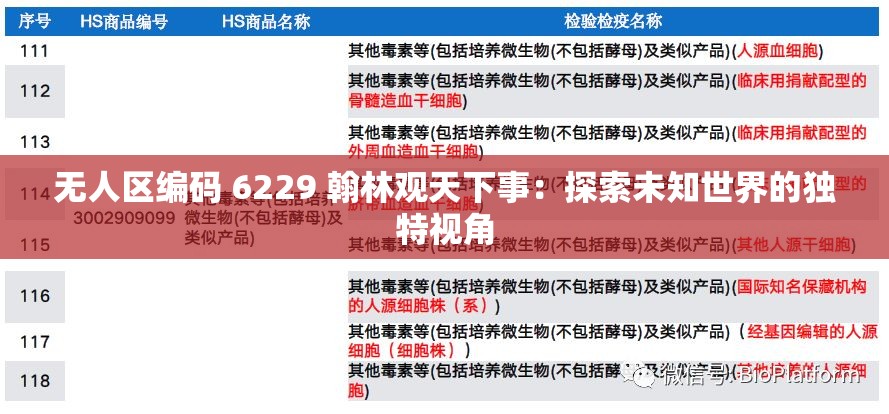 无人区编码 6229 翰林观天下事：探索未知世界的独特视角