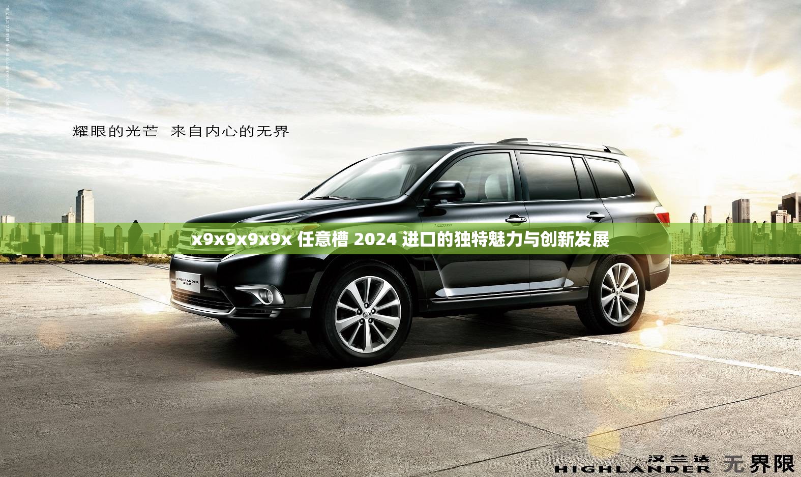 x9x9x9x9x 任意槽 2024 进口的独特魅力与创新发展