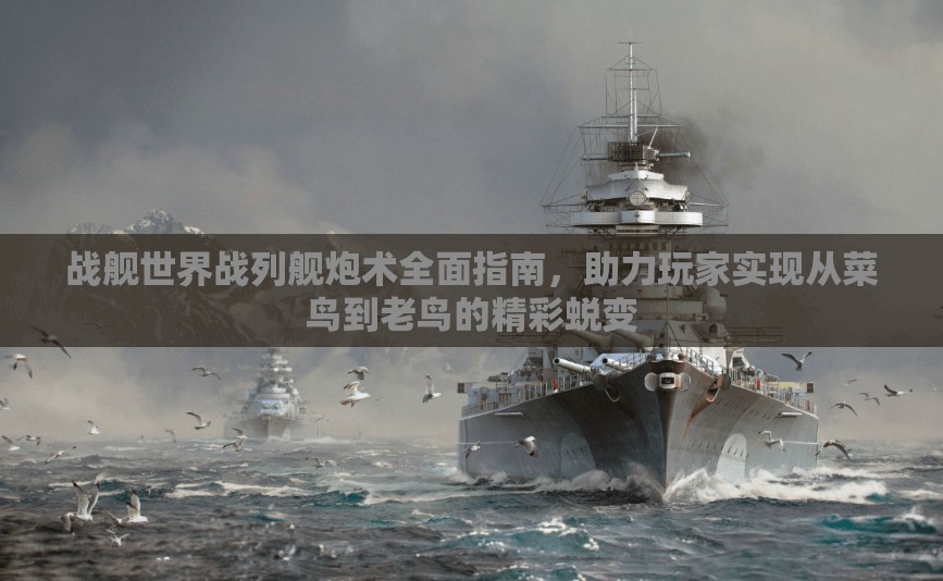 战舰世界战列舰炮术全面指南，助力玩家实现从菜鸟到老鸟的精彩蜕变