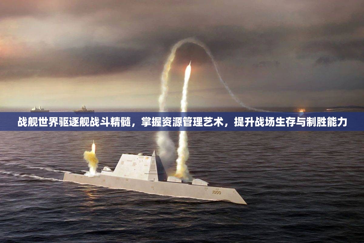战舰世界驱逐舰战斗精髓，掌握资源管理艺术，提升战场生存与制胜能力