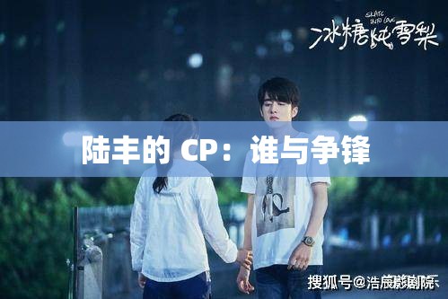 陆丰的 CP：谁与争锋