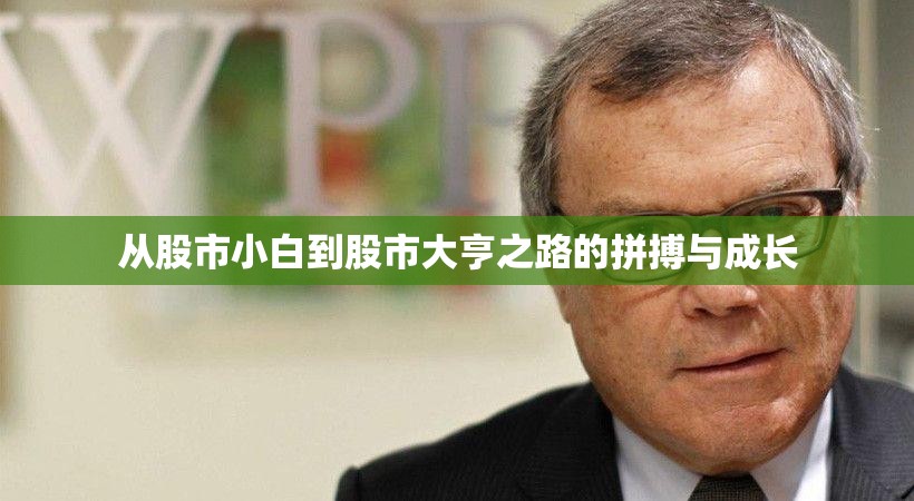 从股市小白到股市大亨之路的拼搏与成长