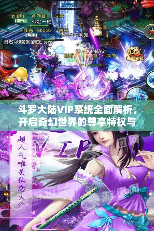 斗罗大陆VIP系统全面解析，开启奇幻世界的尊享特权与冒险之旅