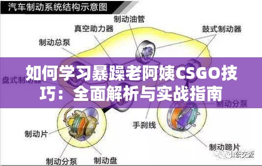 如何学习暴躁老阿姨CSGO技巧：全面解析与实战指南