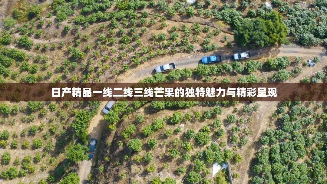 日产精品一线二线三线芒果的独特魅力与精彩呈现